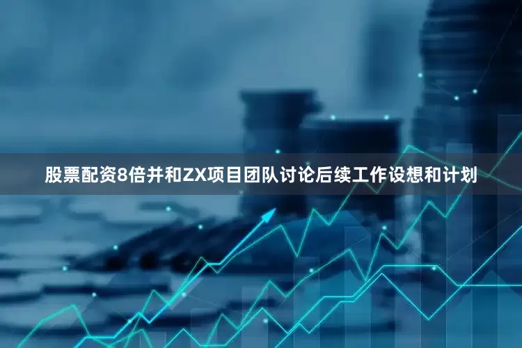 股票配资8倍并和ZX项目团队讨论后续工作设想和计划