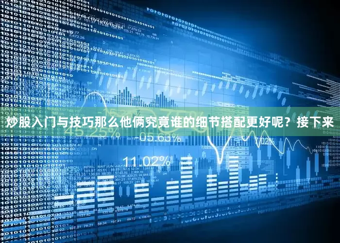 炒股入门与技巧那么他俩究竟谁的细节搭配更好呢？接下来