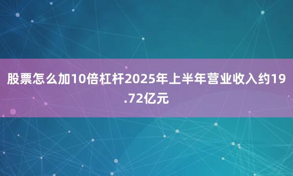 股票怎么加10倍杠杆2025年上半年营业收入约19.72亿元